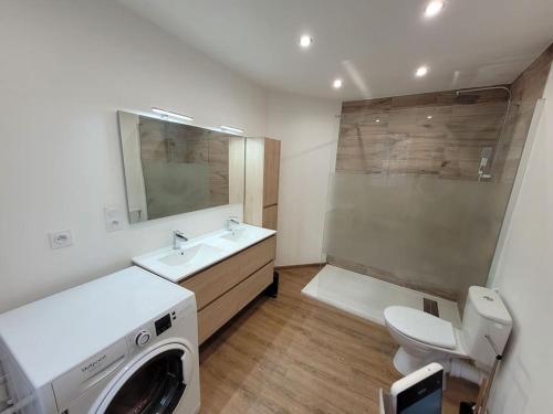 uma casa de banho com um lavatório e uma máquina de lavar roupa em Splendide Duplex em Saint-Dizier
