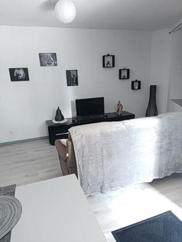 sala de estar con sofá y fotografías en la pared en La Maisonnette, en Vendeuvre-sur-Barse