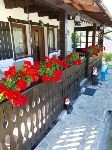 a wooden fence with red flowers on it at Casa Izvorul Rarăului in Câmpulung Moldovenesc