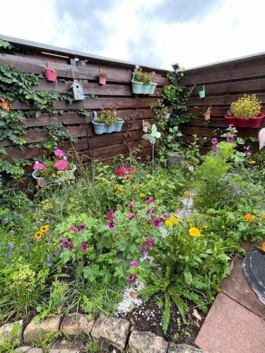 a garden with flowers and plants on a fence at Apartment im Pfälzerwald in Lambrecht