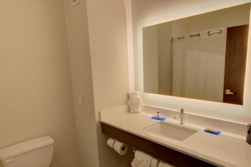 a bathroom with a sink and a mirror and a toilet at Holiday Inn Express & Suites Le Mars, an IHG Hotel in Le Mars