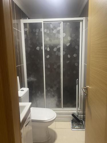 La salle de bains est pourvue de toilettes et d'une douche en verre. dans l'établissement rapsodi hotel, à Istanbul