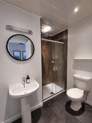 a bathroom with a toilet and a sink and a mirror at The Apartment at Old Pier House in Fort Augustus