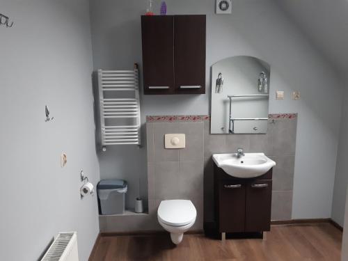 a bathroom with a toilet and a sink at UROCZYSKO POD LASEM in Mikoszewo