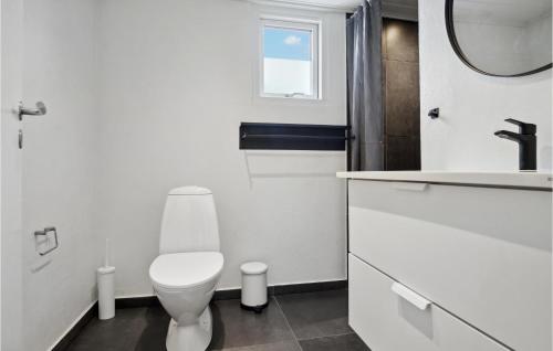 een badkamer met een toilet, een wastafel en een spiegel bij 3 Bedroom Amazing Home In Rnde in Rønde