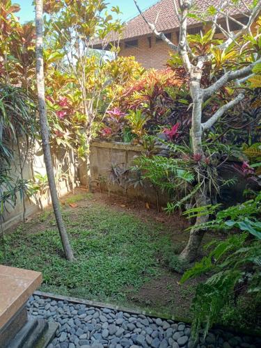un jardin avec un arbre et quelques plantes dans l'établissement Pak jaya house, à Ubud