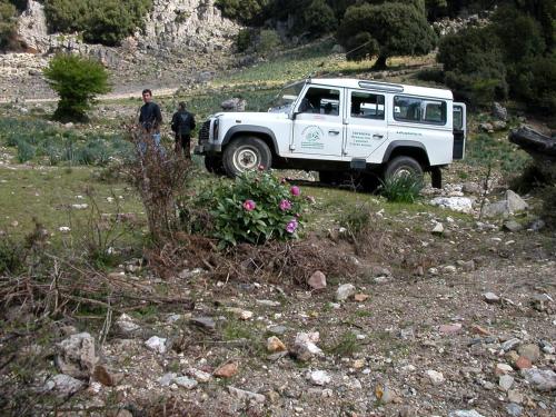 Gallery image of B&B Supramonte in Orgosolo