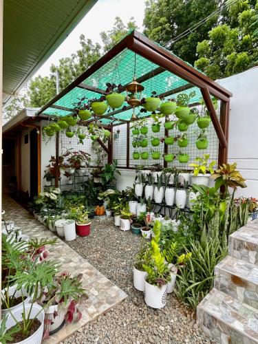 a greenhouse filled with lots of plants in pots at Patterville Transient House in Iba