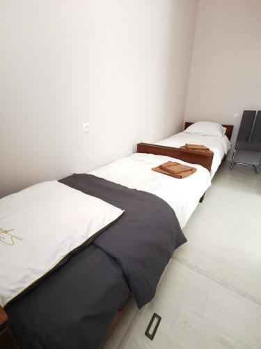 two beds sitting next to each other in a room at Hotel Elen in Gyumri