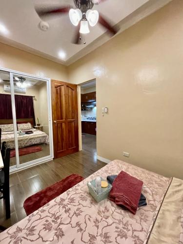 a bedroom with a bed and a mirror at Patterville Transient House in Iba