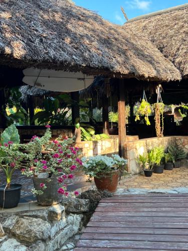 Zahrada ubytování Lualemba Bungalow Resort