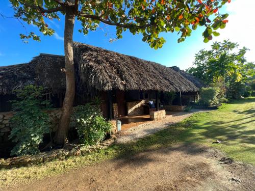 Zahrada ubytování Lualemba Bungalow Resort
