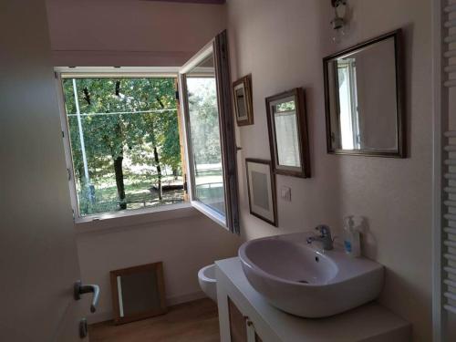 een badkamer met een wastafel en een raam bij APPARTAMENTO CASAPIAVE: Comodo nido fronte Piave in Falzè di Piave