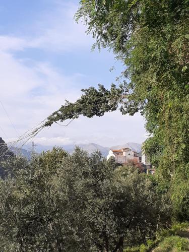 Fotografia z galérie ubytovania La locanda di nonna Jolanda v destinácii Borgo a Mozzano