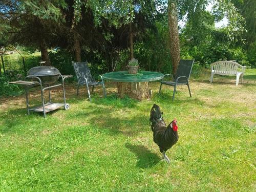 a chicken standing in the grass near a table and chairs at Naturnahe Ferienwohnung 