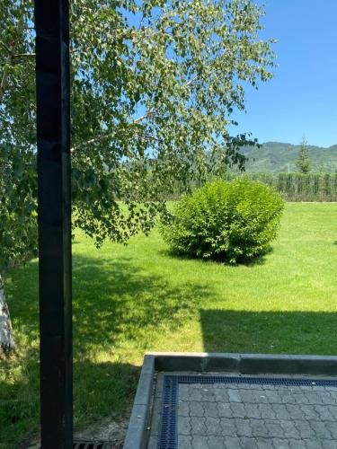 a view of a lawn with a tree and a pool at Vacation house in Pravets Hyatt Regency golf resort in Pravets