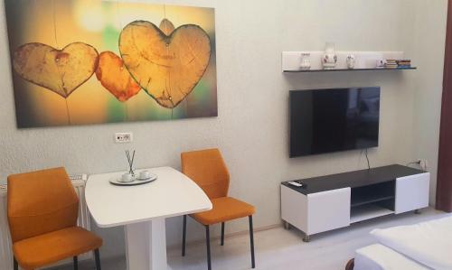 Et tv og/eller underholdning på ORI Vintage Beauty Apart Malul Muresului