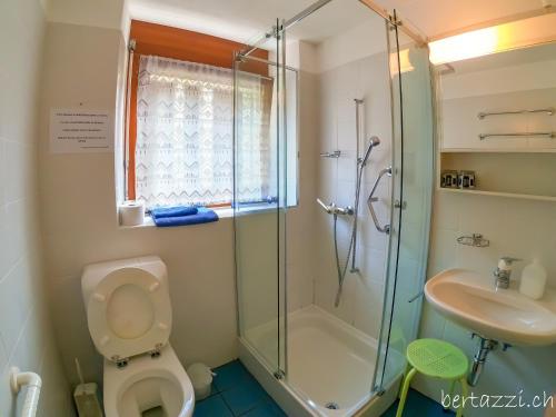 a bathroom with a shower and a toilet and a sink at Appartamenti Bertazzi in Cavagnago