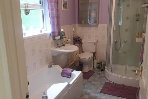 a bathroom with a sink and a toilet and a shower at Chestnut Lodge Annex in Bridgend
