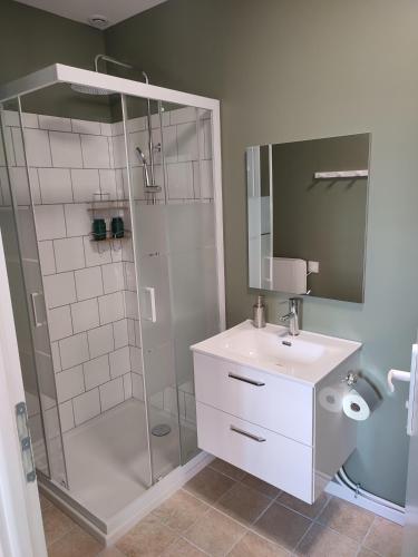 La salle de bains est pourvue d'une douche, d'un lavabo et d'un miroir. dans l'établissement Studio J, à Oyonnax