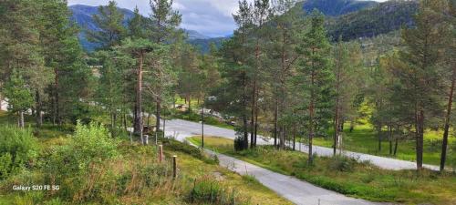 a road in the middle of a forest with trees at Lyngtun in Viksdalen