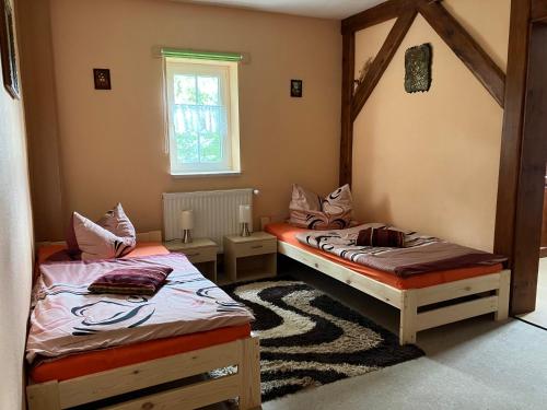 una camera con due letti e una finestra di Doppelzimmer vom Friesenhof Wieratal 