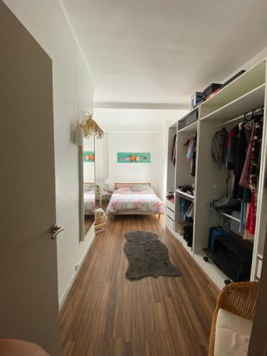 3 P 75 M2 Centre de nice