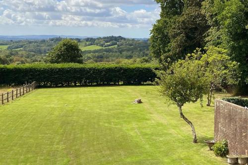 a green yard with a tree in the grass at Spacious one bedroom flat in West Hoathley