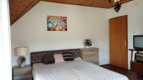 a bedroom with a bed and a television at Yanks Idila in Zlatibor