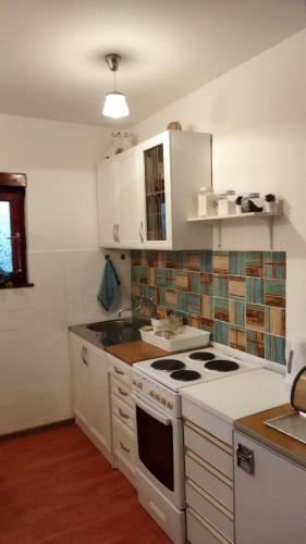 Una cocina o cocineta en Jankovići Ravni Zlatibor