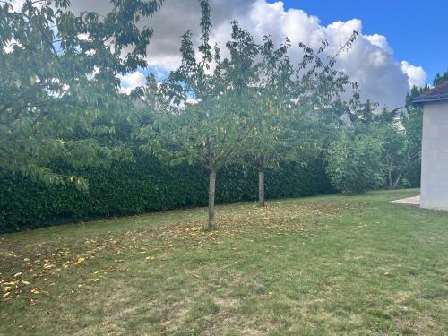 a tree in the middle of a yard at La rocaille 3 chambres doubles in Fondettes
