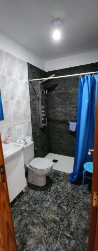 a bathroom with a toilet and a blue shower curtain at Apartamentos América in Valle Gran Rey