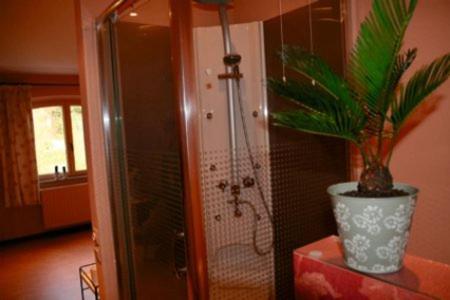 La salle de bains est pourvue d'une douche et d'une plante en pot. dans l'établissement B&B Heerlijkhyd, à Hertsberge
