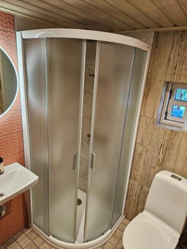 a shower in a bathroom with a toilet at Soomaa Puhkeküla in Riisa