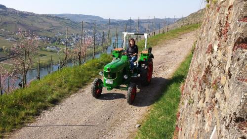 Gallery image of Ferienweingut Rainer Hirschen in Burg an der Mosel