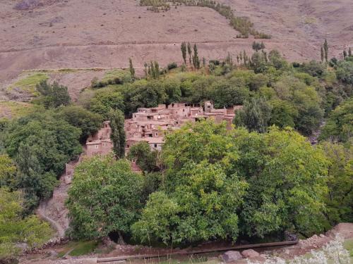 a village on the side of a hill with trees at Riad Dar Amgdoule Tacheddirt in Tacheddirt