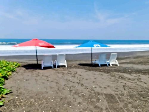 a group of chairs and umbrellas on a beach at Hotel Hawaian Paradise in Hawaii