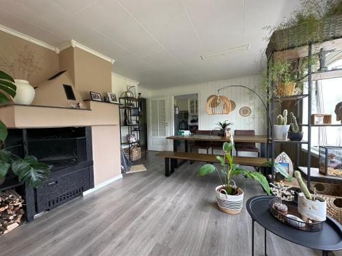 a living room with a fireplace and some plants at Private Room With Beautiful View in Vassenden