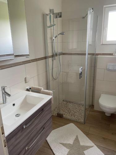 a bathroom with a shower and a sink and a toilet at Haus-Seeschwalbe-Wohnung-3 in Nieblum