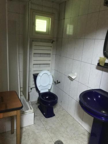 uma casa de banho com um WC azul e um lavatório. em Casa postolache em Soveja