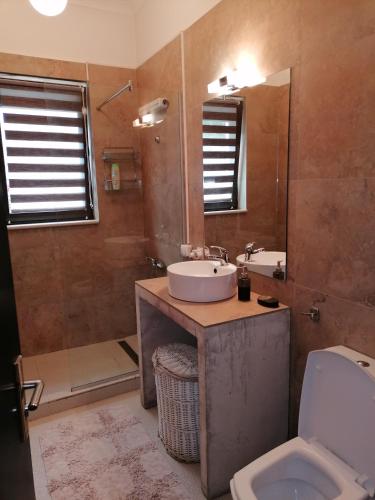y baño con lavabo, aseo y espejo. en Queency Apartament cu gradina și parcare gratuita en Cluj-Napoca