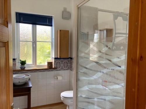 a bathroom with a glass shower with a toilet at Walnut Cottage in Newton Ferrers