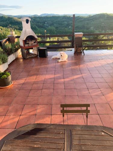 a dog laying on a patio with a pizza oven at La Casa di Bacco B&B in Lerma