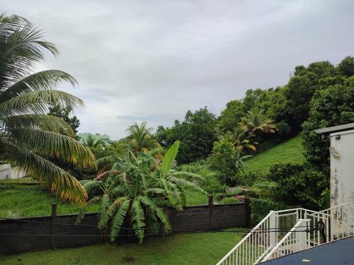 un jardín con palmeras y una colina en haut de villa spacieux et calme, en Morne-à-lʼEau