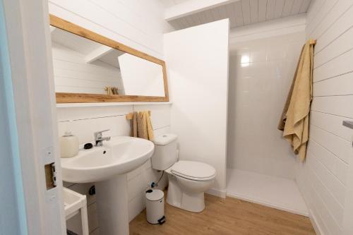 a bathroom with a sink and a toilet and a mirror at Bajo el Nogal in Camargo