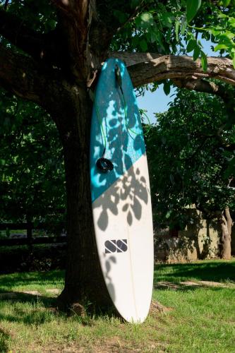 a surfboard is leaning against a tree at Bajo el Nogal in Camargo