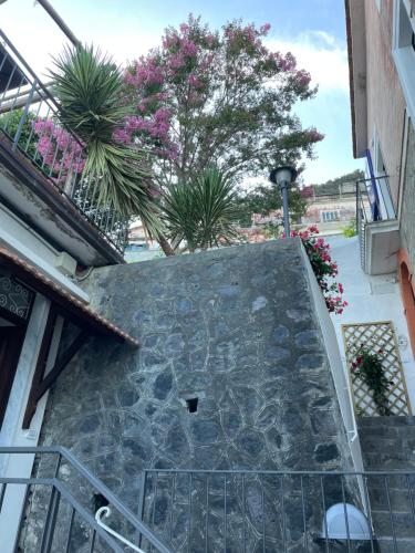 a stairway leading up to a building with plants at Villa Pino in Furore