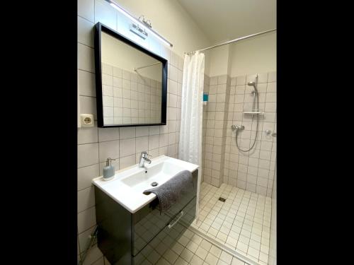 a bathroom with a sink and a shower and a mirror at Hana Aparthotel in Hamburg