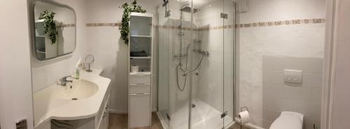 a white bathroom with a shower and a sink at Hireu's Hus in Bötersen