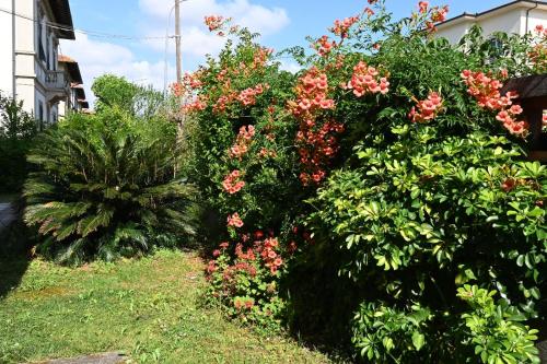 Zahrada ubytování Villa Mehari
